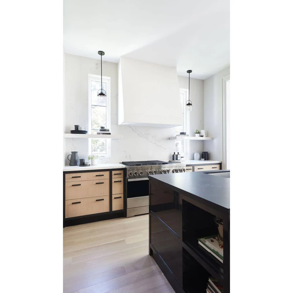 Lowell 1-Light Black Glass Dome Pendant Light with Clear Glass Shade by GLUCKSTEINELEMENTS 6 Lowell 1-Light Black Glass Dome Pendant Light with Clear Glass Shade by GLUCKSTEINELEMENTS - Image 6