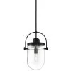 Lowell 1-Light Black Glass Dome Pendant Light with Clear Glass Shade by GLUCKSTEINELEMENTS