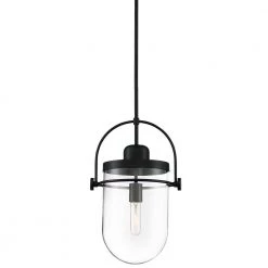 Lowell 1-Light Black Glass Dome Pendant Light with Clear Glass Shade by GLUCKSTEINELEMENTS