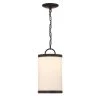 Massey 1-Light Black Metal LED Outdoor Pendant by GLUCKSTEINELEMENTS