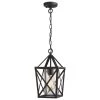 1-Light Black Outdoor Industrial Pendant Light with Clear Glass Shade by JAZAVA