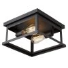 11 in. 2-Light Black Flush Mount Open Caged Ceiling Light by JAZAVA