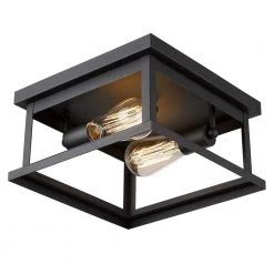 11 in. 2-Light Black Flush Mount Open Caged Ceiling Light by JAZAVA