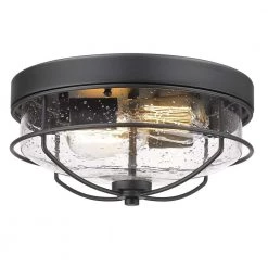 12 in. 2-Light Farmhouse Black Ceiling Light Fixture with Seeded Glass Shade Flush Mount by JAZAVA