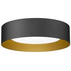 13.8 in. 1-Light Black LED Flush Mount Ceiling Light Fixture with Frosted Glass Shade by JAZAVA