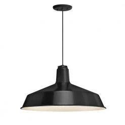 Erza 1-Light Glass Black Outdoor Pendant Light by Troy RLM